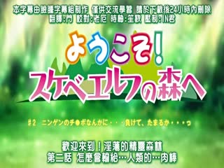 HENTAI (18禁アニメ) OVA ようこそ！ スケベエルフの森へ ＃2 ニンゲンのチ○ポなんかに…負けて、たまるか