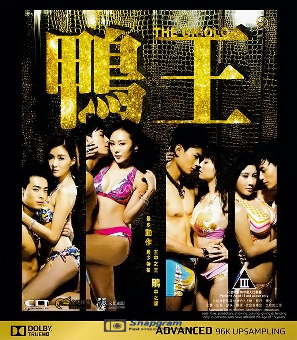 鴨王2(2016)TheGigolo27-11