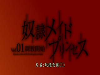 奴隸女仆公主 Vol.01～調教開始～ DG-032